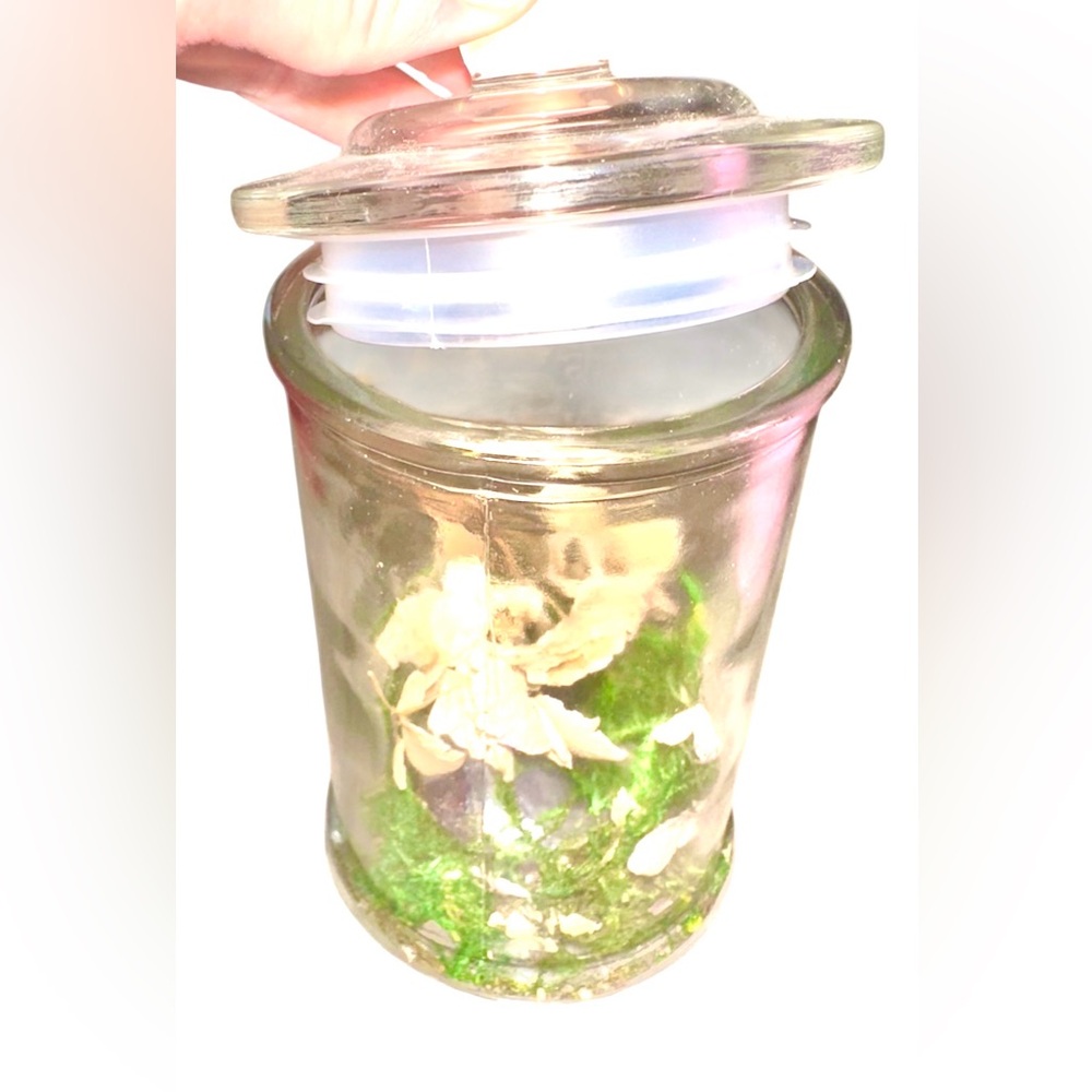 Glass Jar with Dried Wedding Flowers, Green Moss, Two Amethyst Crystal Rocks - Picture 4 of 10